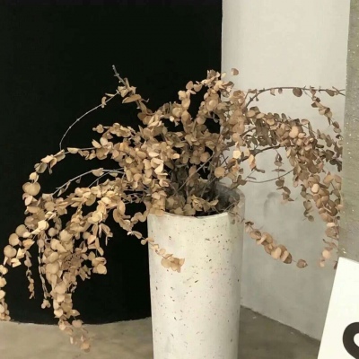 Furry插画风格解析福瑞交流群